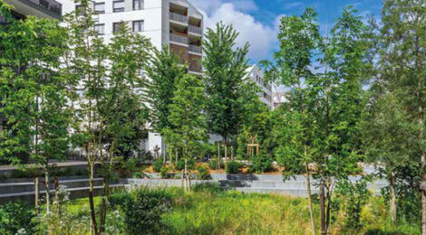Programme immobilier neuf Edenia - Châtenay Malabry cadre paysager proche parc de Sceaux (92290) - Référence : 17626