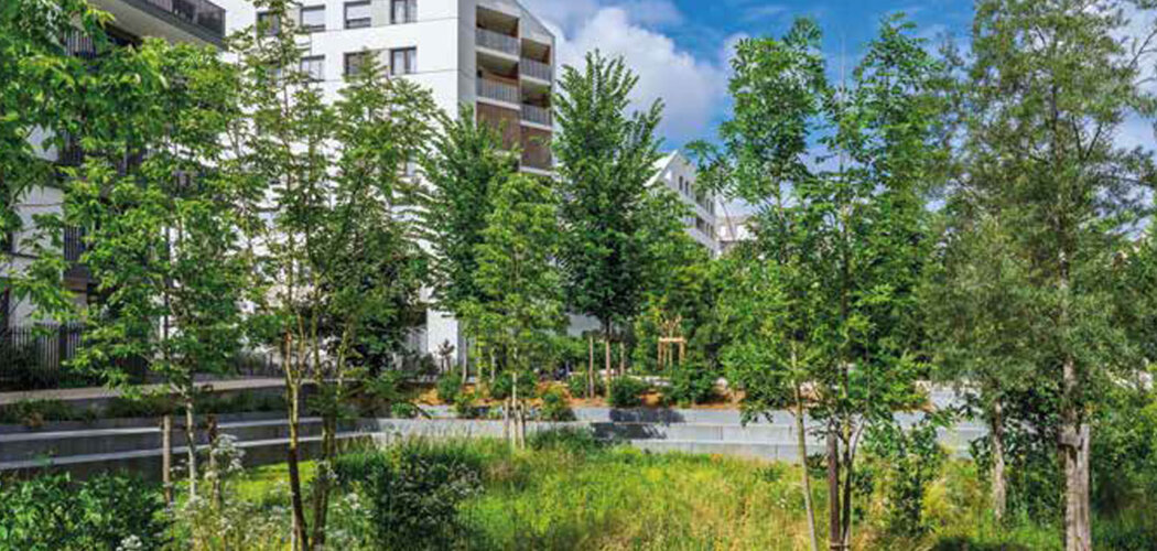 Programme immobilier neuf Edenia - Châtenay Malabry cadre paysager proche parc de Sceaux (92290) - Référence : 17626